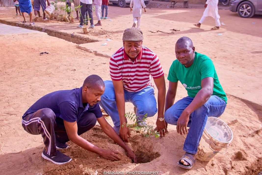 Hotuna: Kanawa Na Gangamin Dasa Bishiya Miliyan Ɗaya - Wikkitimes Hausa