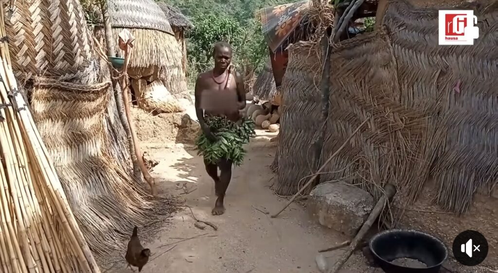 SPOTLIGHT: Koma Natives In Adamawa Still Wear Leaves, Farm On Hills 1