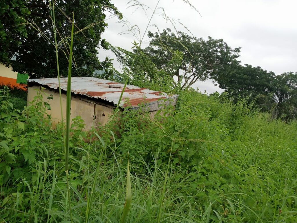SPECIAL REPORT: Inside Kwara Secondary School Where Students Defecate in Open Amid Fear of Snake Bites 1