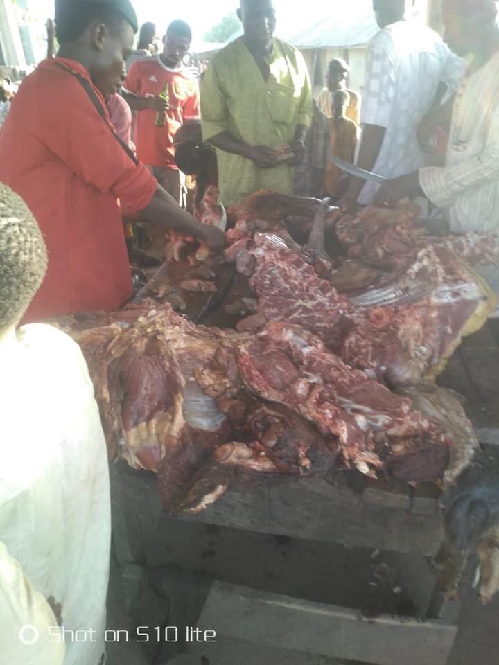 NAF Jet Mistakenly Bombed Over 20 Cows in Niger. Family Now in Despiar 1