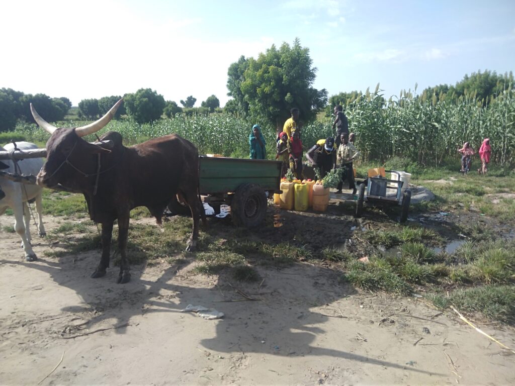 Over N175 Million Water Project Mysteriously Disappeared In Bauchi North As Residents Trek Kilometres To Get Water, Battle Diseases  2